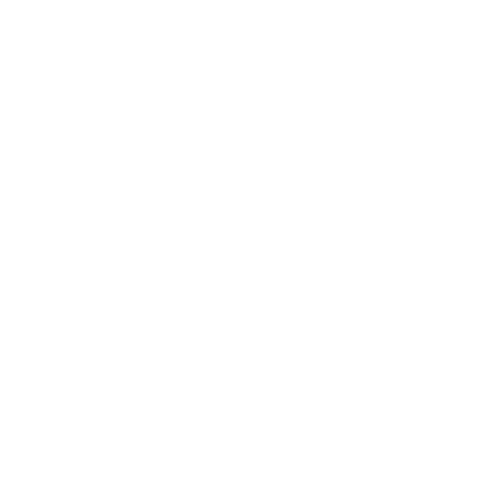 Pulst Immobilien Magdeburg - Besichtigung Pulst Immobilien Magdeburg - Besichtigung